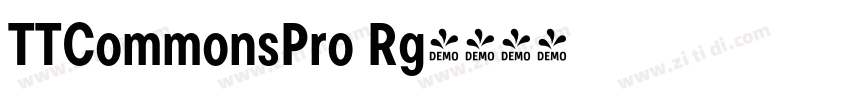 TTCommonsPro Rg字体转换